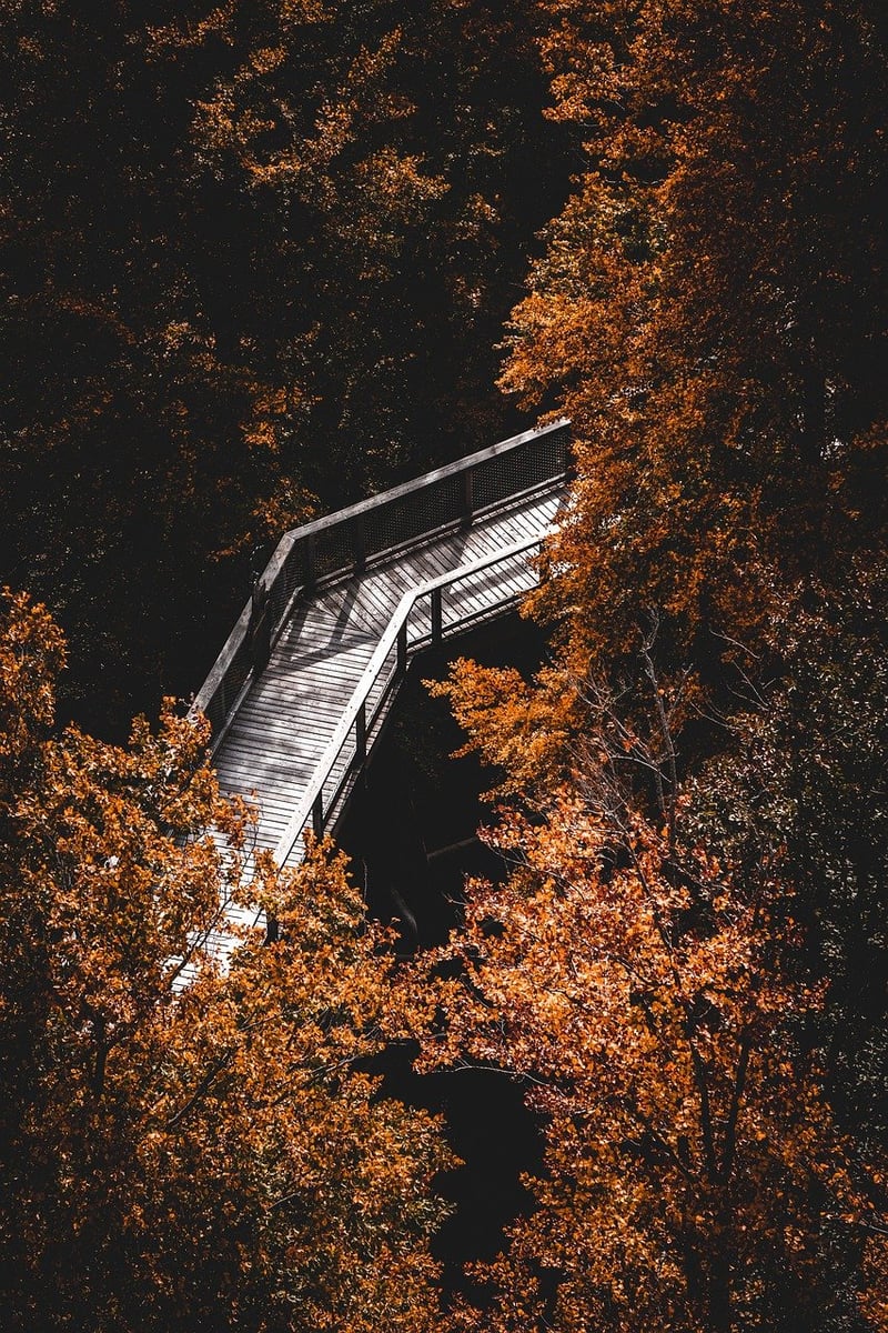 Mindful hiking